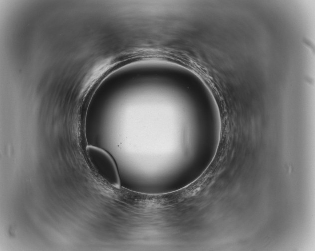 X0000094230103200710261304
