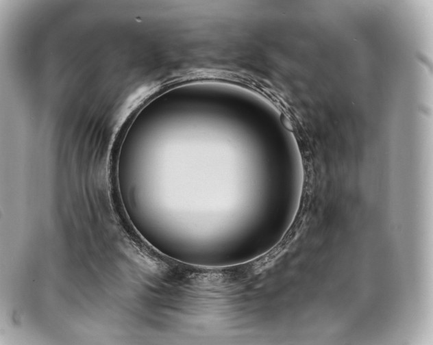 X0000094230104200710261304