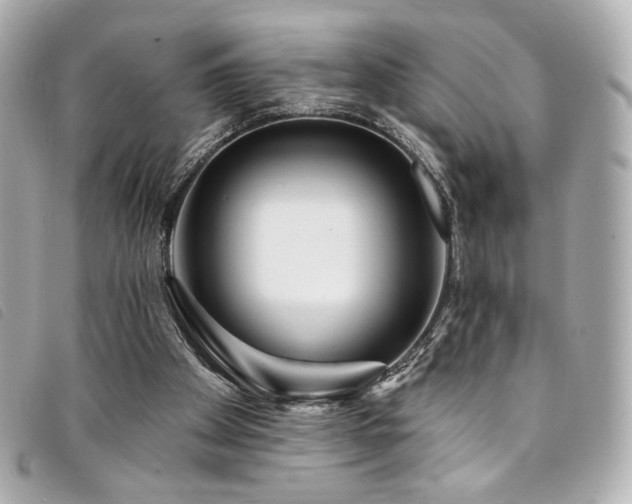 X0000094230105200710261304