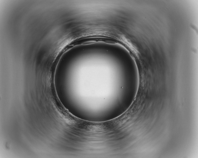 X0000094230107200710261304