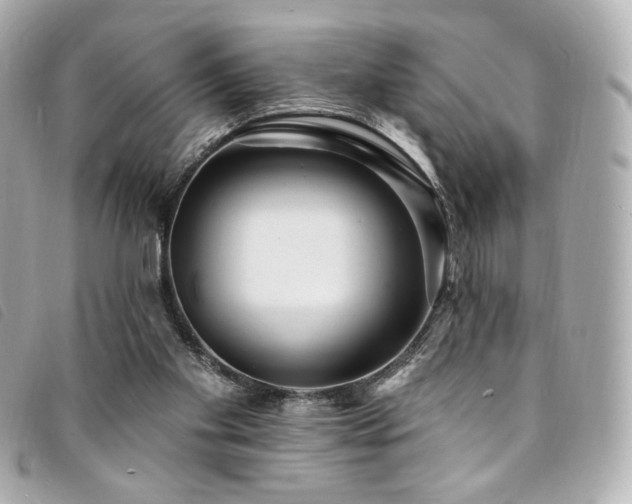 X0000094230109200710261304