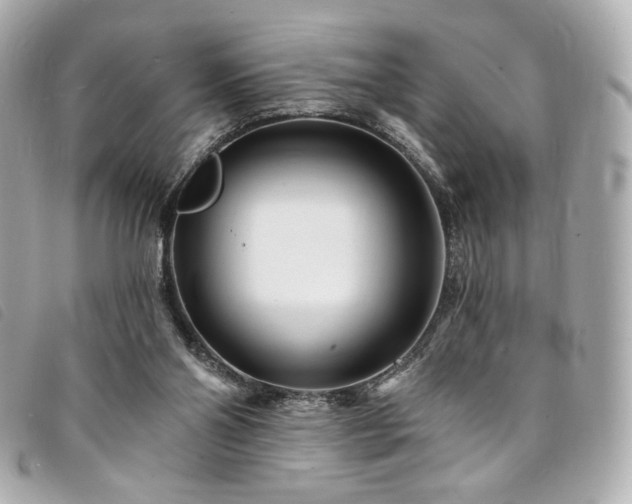 X0000094230110200710261304