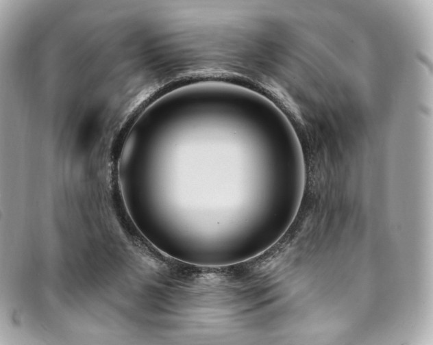X0000094230111200710261304