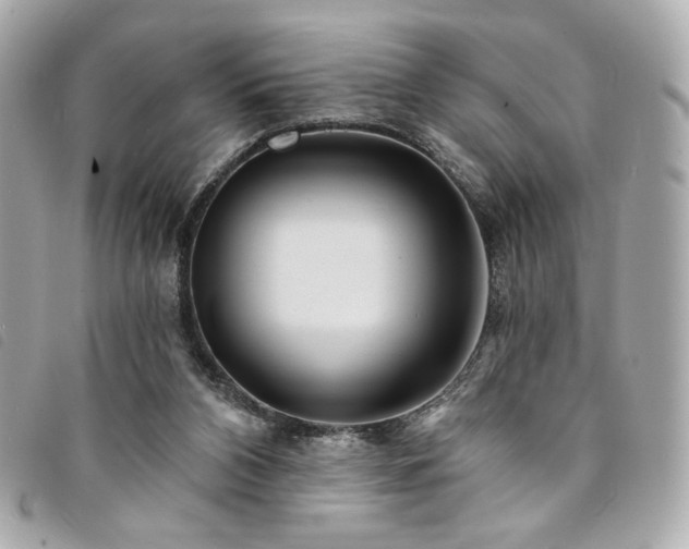 X0000094230112200710261304