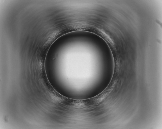 X0000094230113200710261304