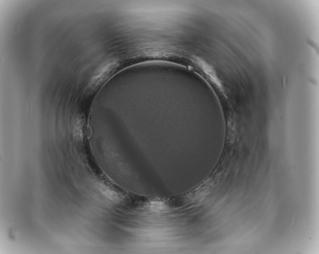 X0000094230114200710261304
