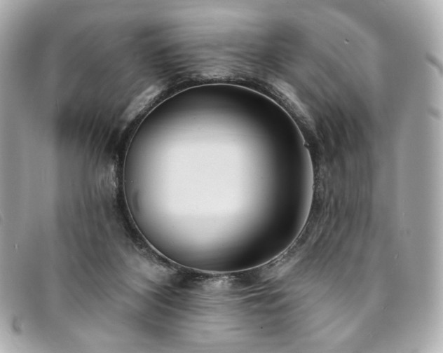 X0000094230116200710261304