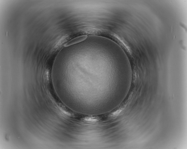 X0000094230117200710261304