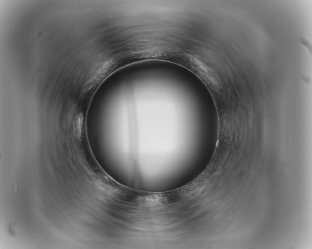 X0000094230118200710261304