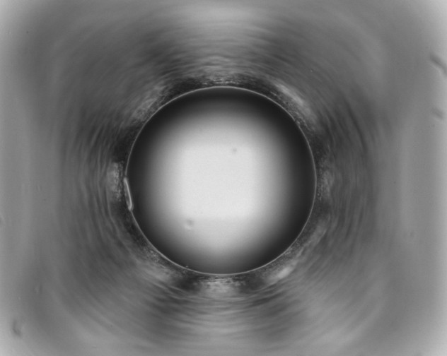 X0000094230121200710261303