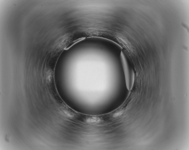 X0000094230125200710261303