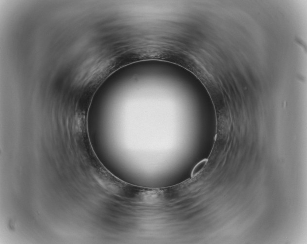 X0000094230126200710261303