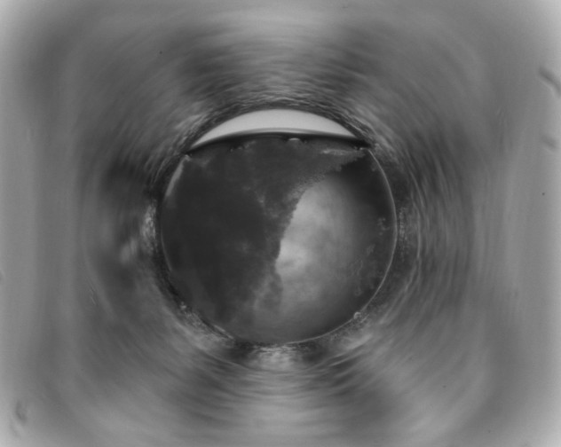 X0000094230127200710261303