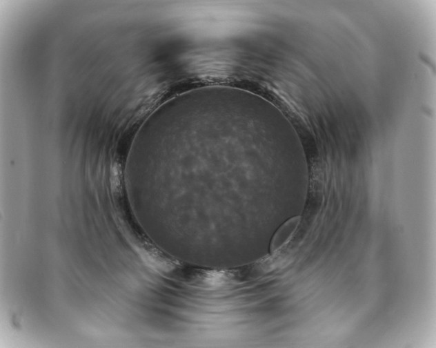 X0000094230130200710261303