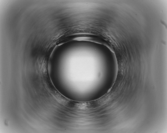 X0000094230131200710261303