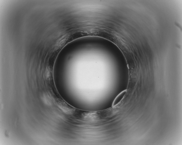 X0000094230132200710261303