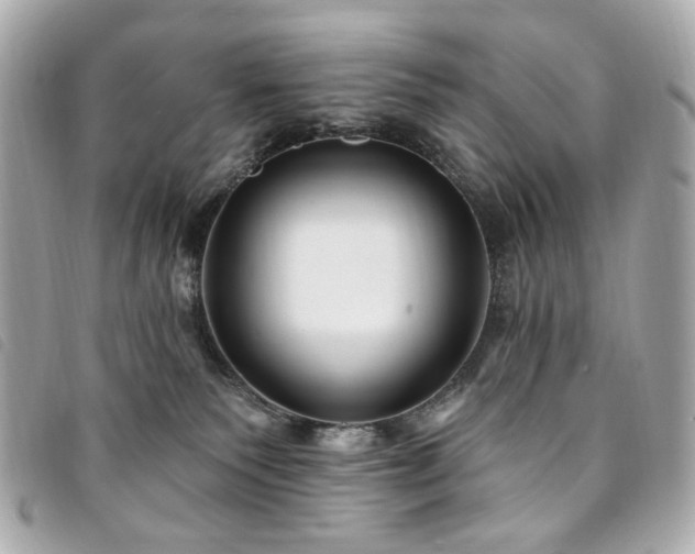 X0000094230135200710261303
