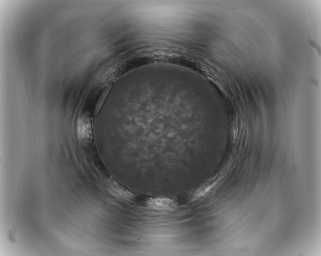 X0000094230137200710261303
