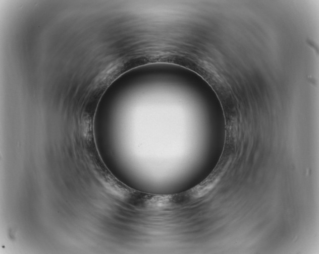 X0000094230138200710261303