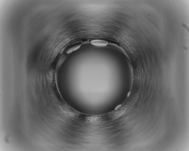 X0000094230139200710261303