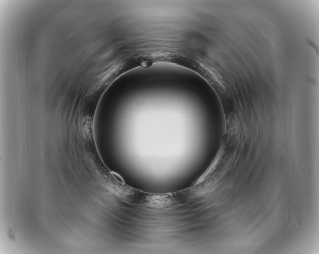 X0000094230141200710261303
