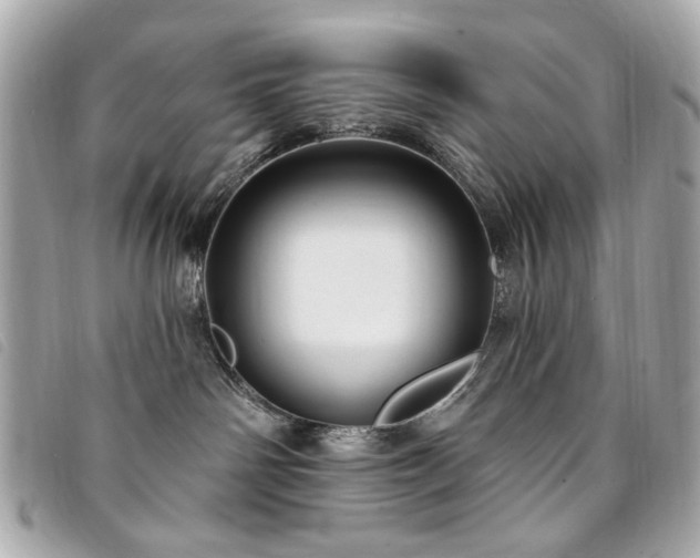 X0000094230142200710261303