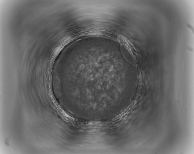 X0000094230145200710261302