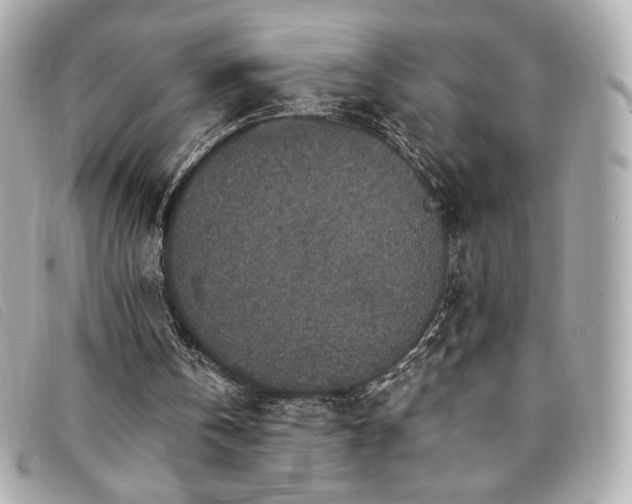 X0000094230146200710261302