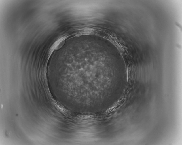 X0000094230147200710261302