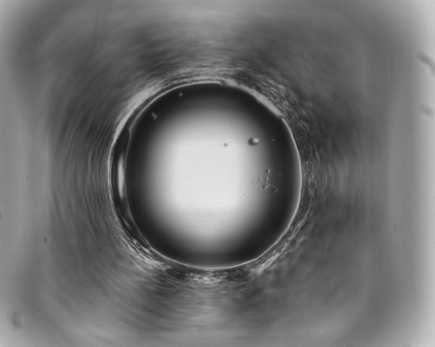 X0000094230148200710261303