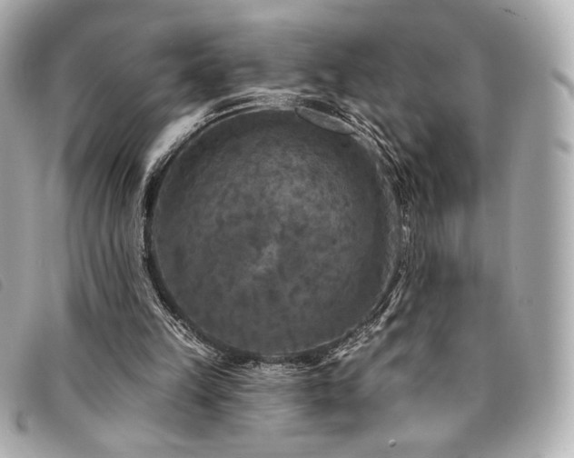 X0000094230149200710261303
