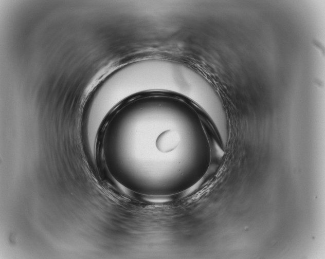 X0000094230150200710261303