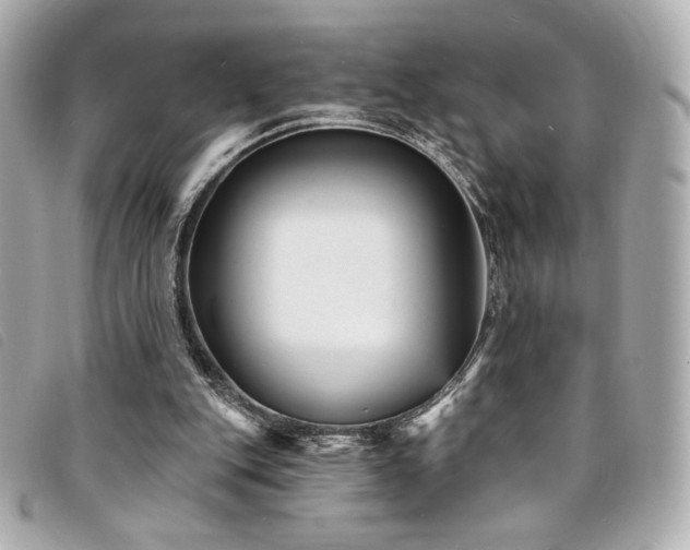 X0000094230151200710261303