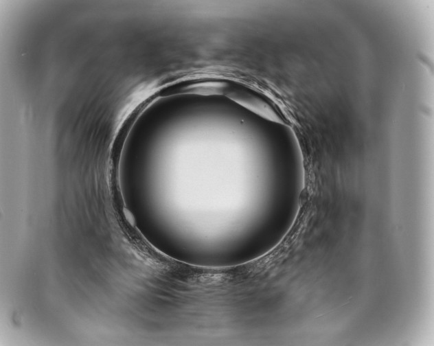 X0000094230152200710261303