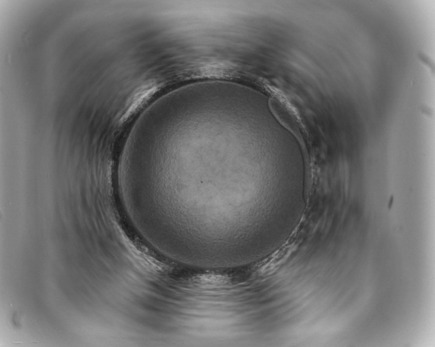 X0000094230154200710261303