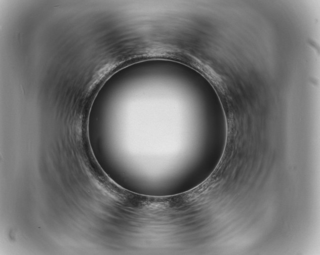 X0000094230155200710261303
