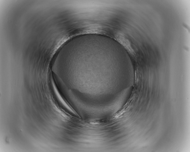 X0000094230156200710261303