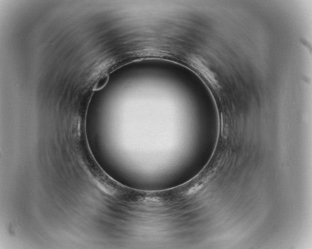 X0000094230157200710261303