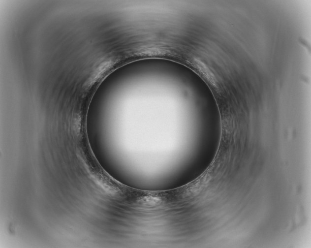X0000094230159200710261303