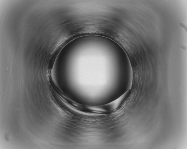 X0000094230160200710261303