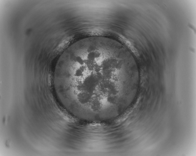 X0000094230161200710261303