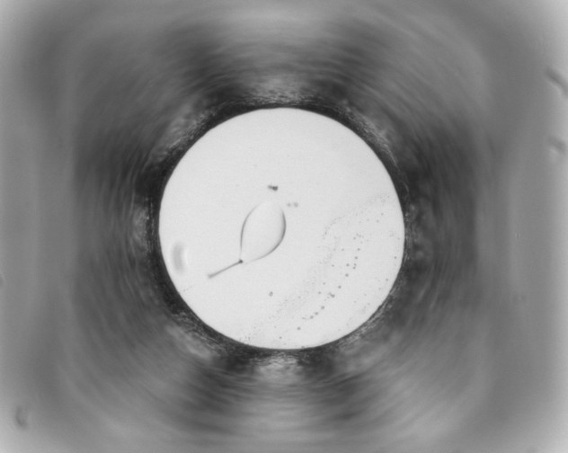 X0000094230162200710261303