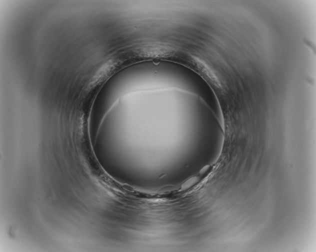X0000094230163200710261303