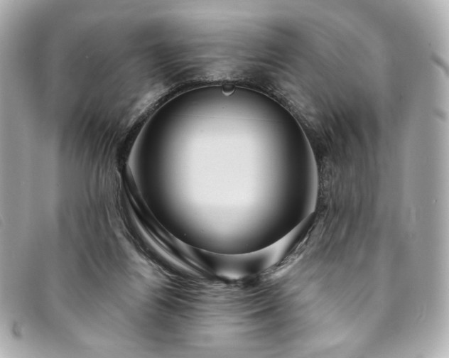 X0000094230164200710261303