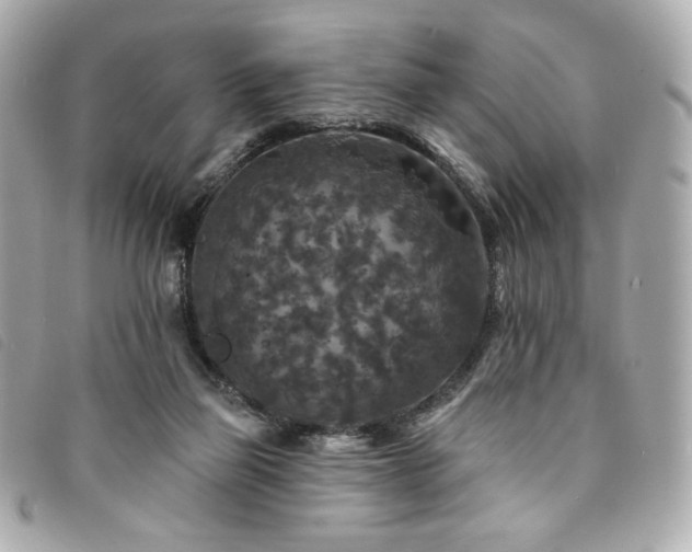 X0000094230165200710261303