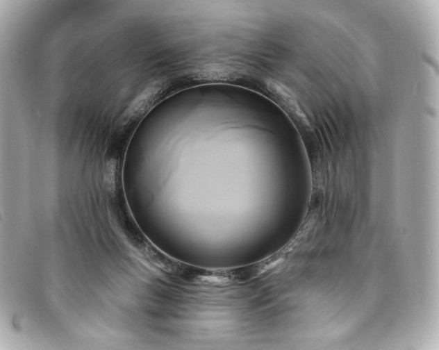 X0000094230167200710261303
