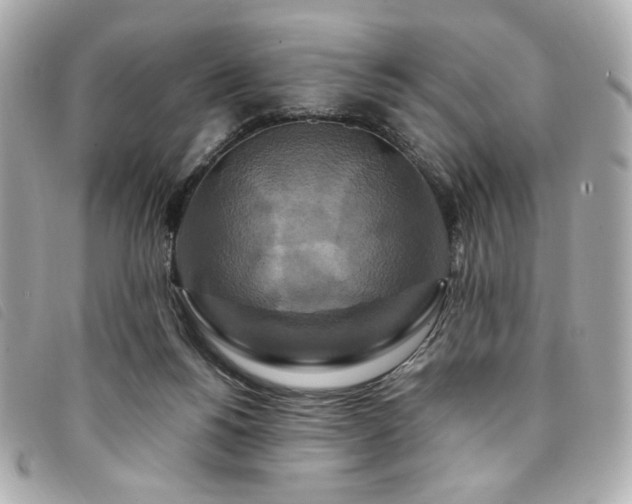 X0000094230168200710261303
