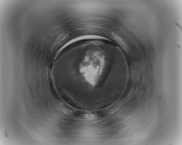 X0000094230169200710261303