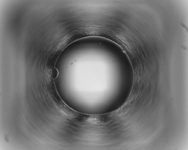 X0000094230171200710261303