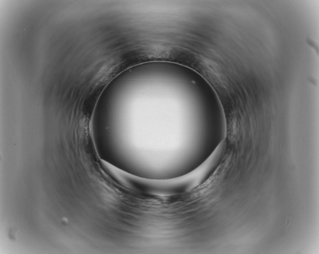 X0000094230172200710261303